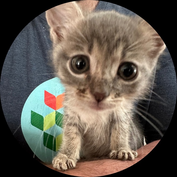 kepler_kitty